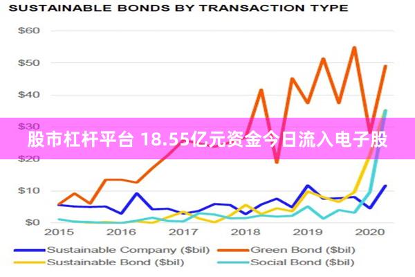 股市杠杆平台 18.55亿元资金今日流入电子股