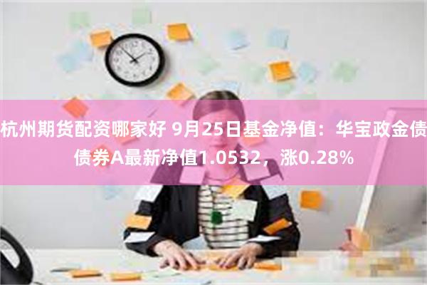 杭州期货配资哪家好 9月25日基金净值：华宝政金债债券A最新净值1.0532，涨0.28%