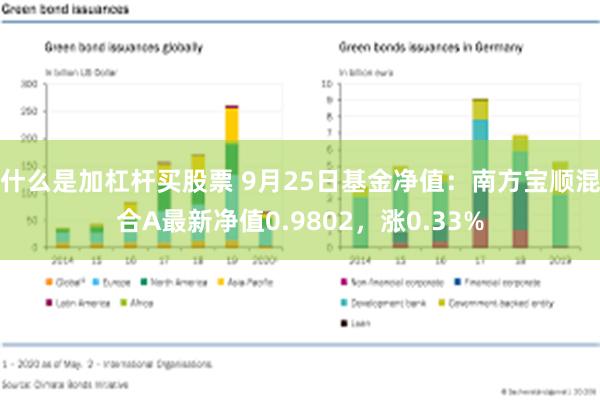 什么是加杠杆买股票 9月25日基金净值：南方宝顺混合A最