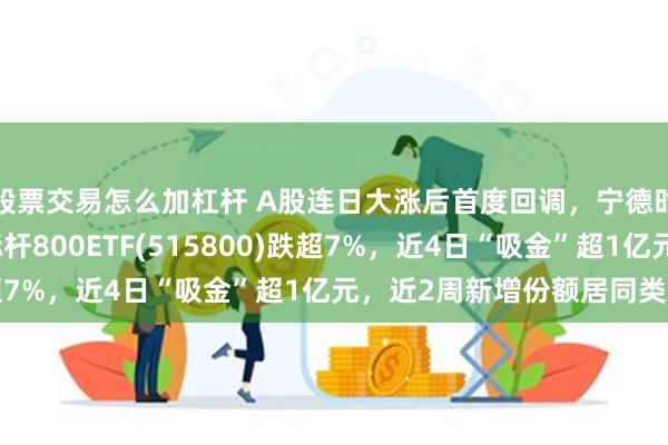 股票交易怎么加杠杆 A股连日大涨后首度回调，宁德时代跌超13%，宽基标杆800ETF(515800)跌超7%，近4日“吸金”超1亿元，近2周新增份额居同类第一