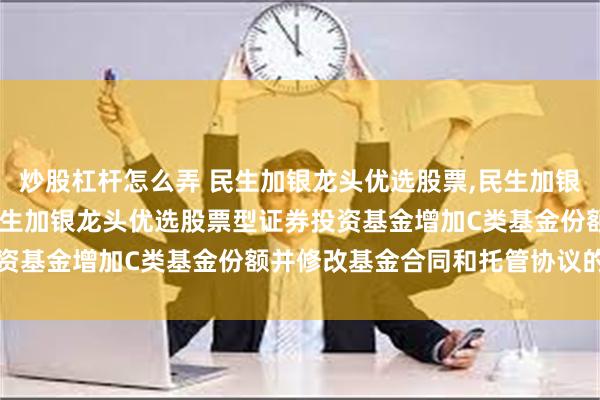 炒股杠杆怎么弄 民生加银龙头优选股票,民生加银龙头优选股票C: 关于民生加银龙头优选股票型证券投资基金增加C类基金份额并修改基金合同和托管协议的公告