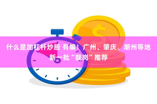 什么是加杠杆炒股 有编！广州、肇庆、潮州等地新一批“靓岗”推荐