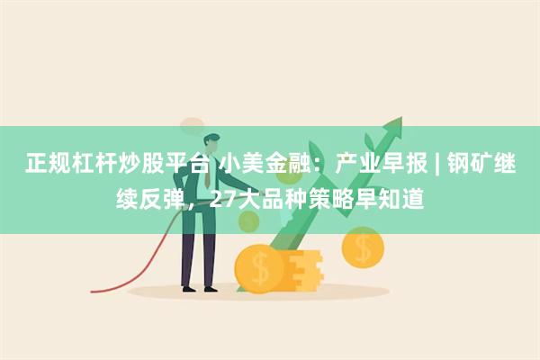 正规杠杆炒股平台 小美金融：产业早报 | 钢矿继续反弹，27