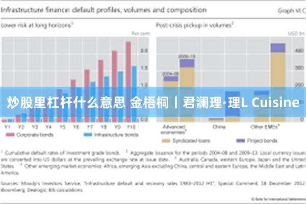 炒股里杠杆什么意思 金梧桐丨君澜理·理L Cuisine