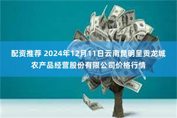 配资推荐 2024年12月11日云南昆明呈贡龙城农产品经营股份有限公司价格行情