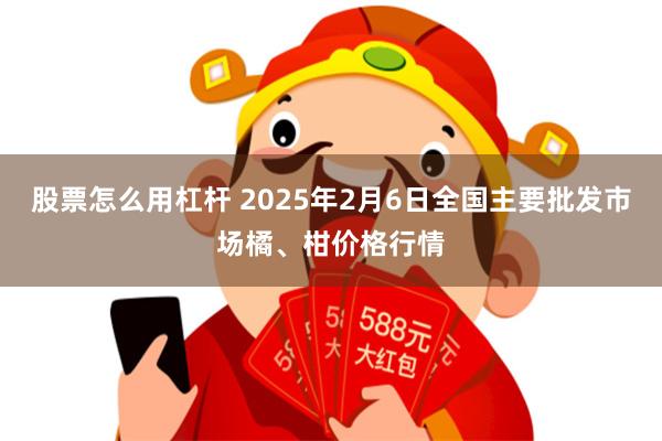 股票怎么用杠杆 2025年2月6日全国主要批发市场橘、柑价格行情