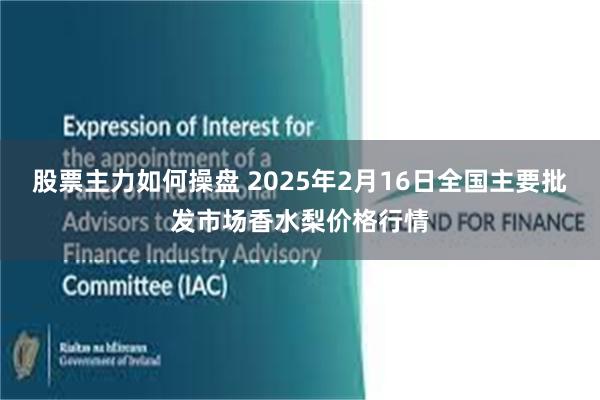 股票主力如何操盘 2025年2月16日全国主要批发市场香水梨价格行情