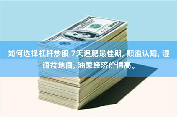 如何选择杠杆炒股 7天追肥最佳期, 颠覆认知, 湿润盆地间, 油菜经济价值高。