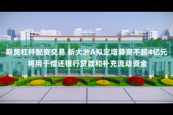 期货杠杆配资交易 新大洲A拟定增募资不超4亿元 将用于偿还银行贷款和补充流动资金