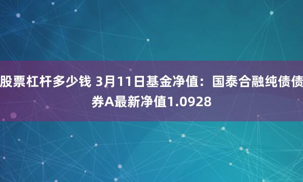 股票杠杆多少钱 3月11日基金净值：国泰合融纯债债券A最新净值1.0928